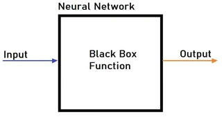 RNN Black Box
