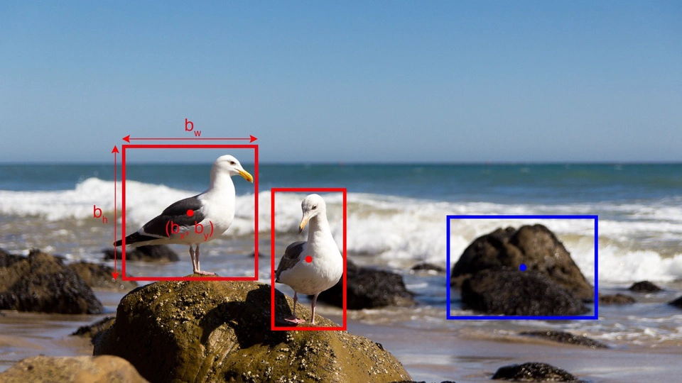 Real-Time Object Detection using YOLO