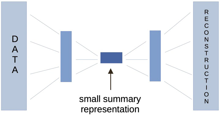 Koehn AI conducted a research project